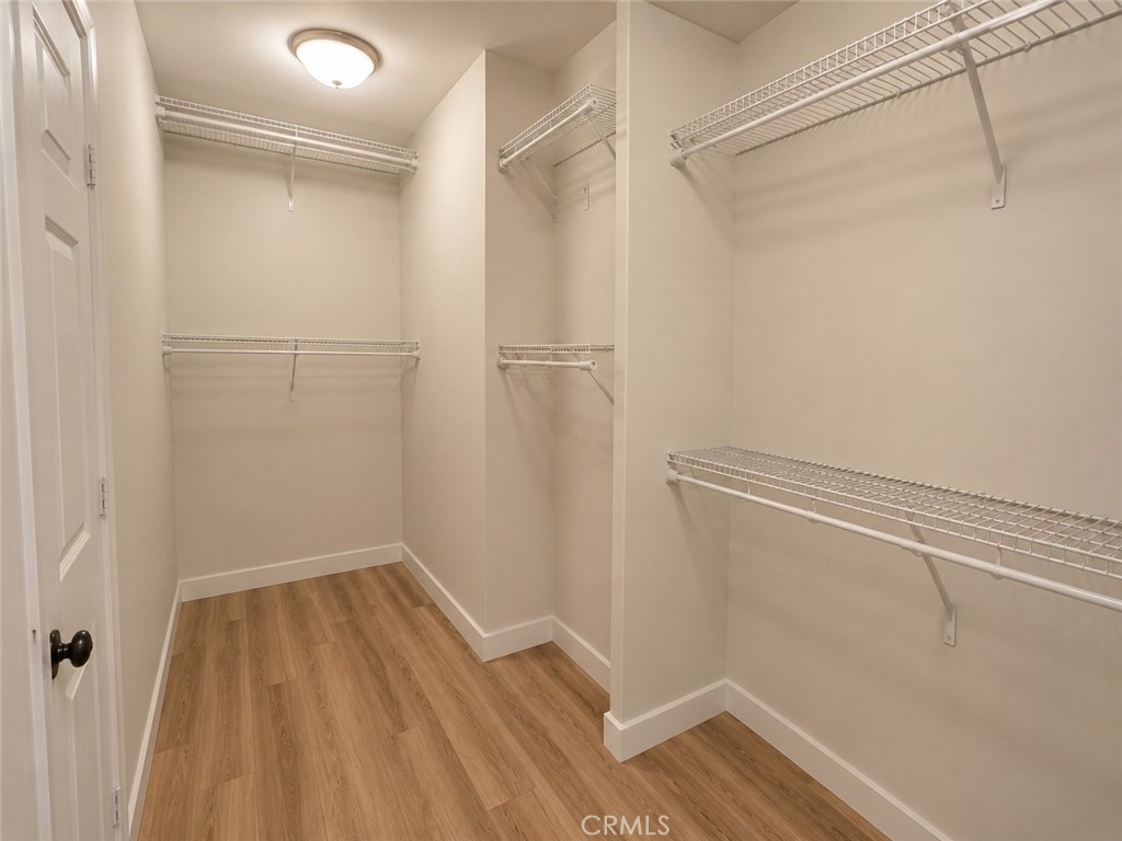 26252 Sage Grass Court