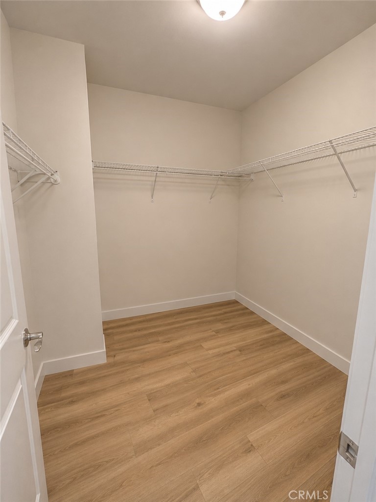 26252 Sage Grass Court