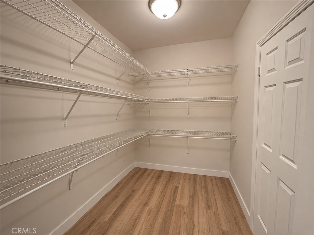 26252 Sage Grass Court