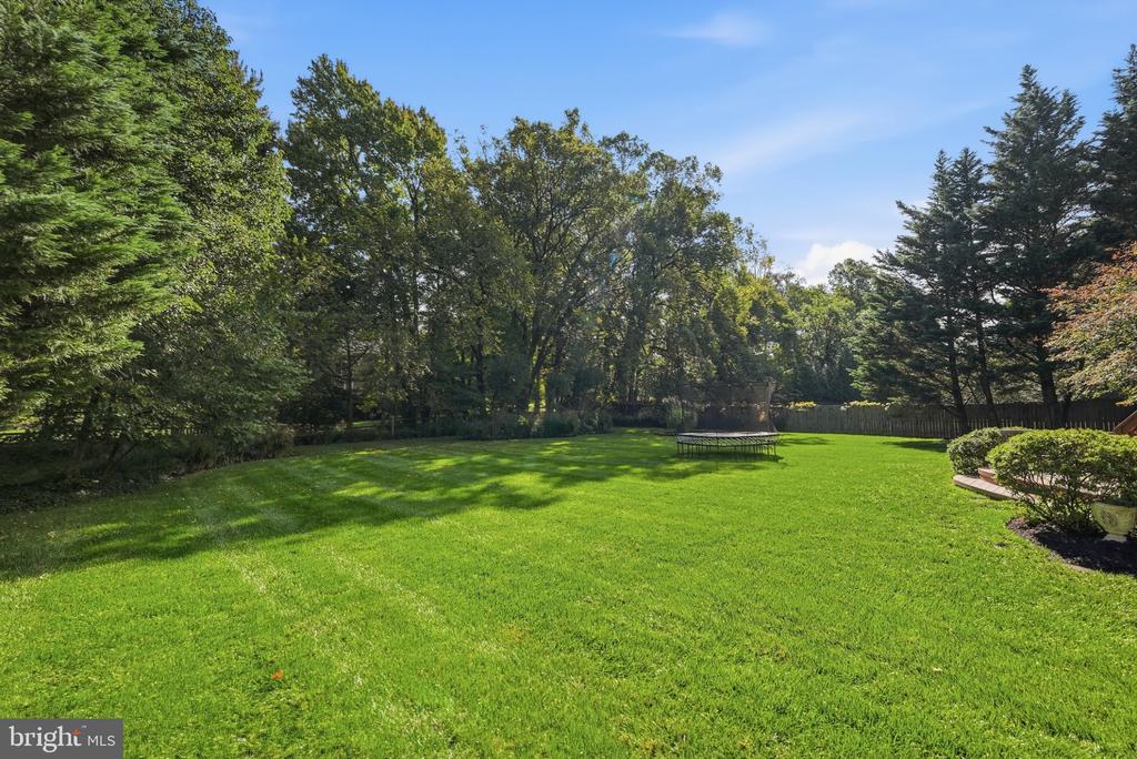 Spacious backyard with a broad lawn, mature trees, perimeter fencing, and a trampoline.