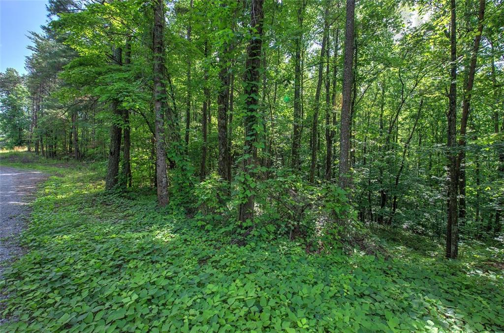 1236 DEBORD Drive