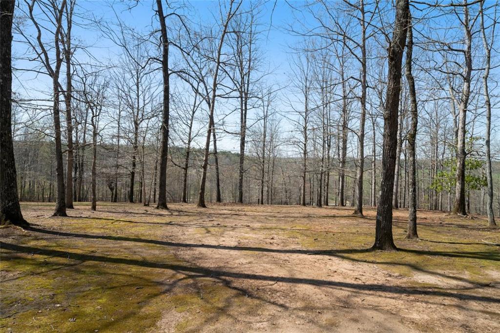 680 MILLIGAN CREEK Road