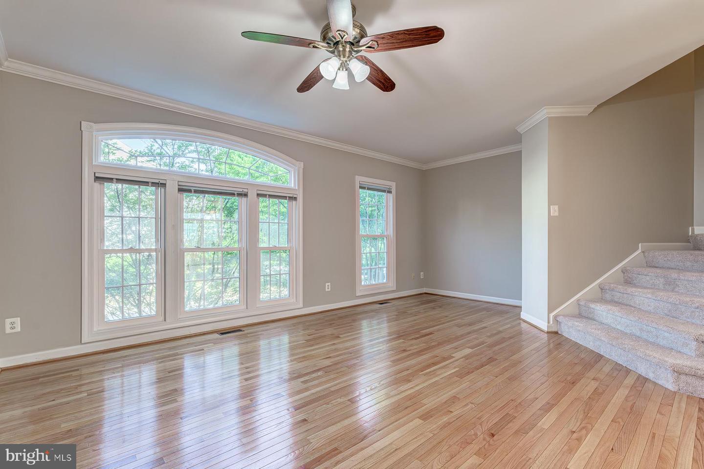904 Harrison Cir