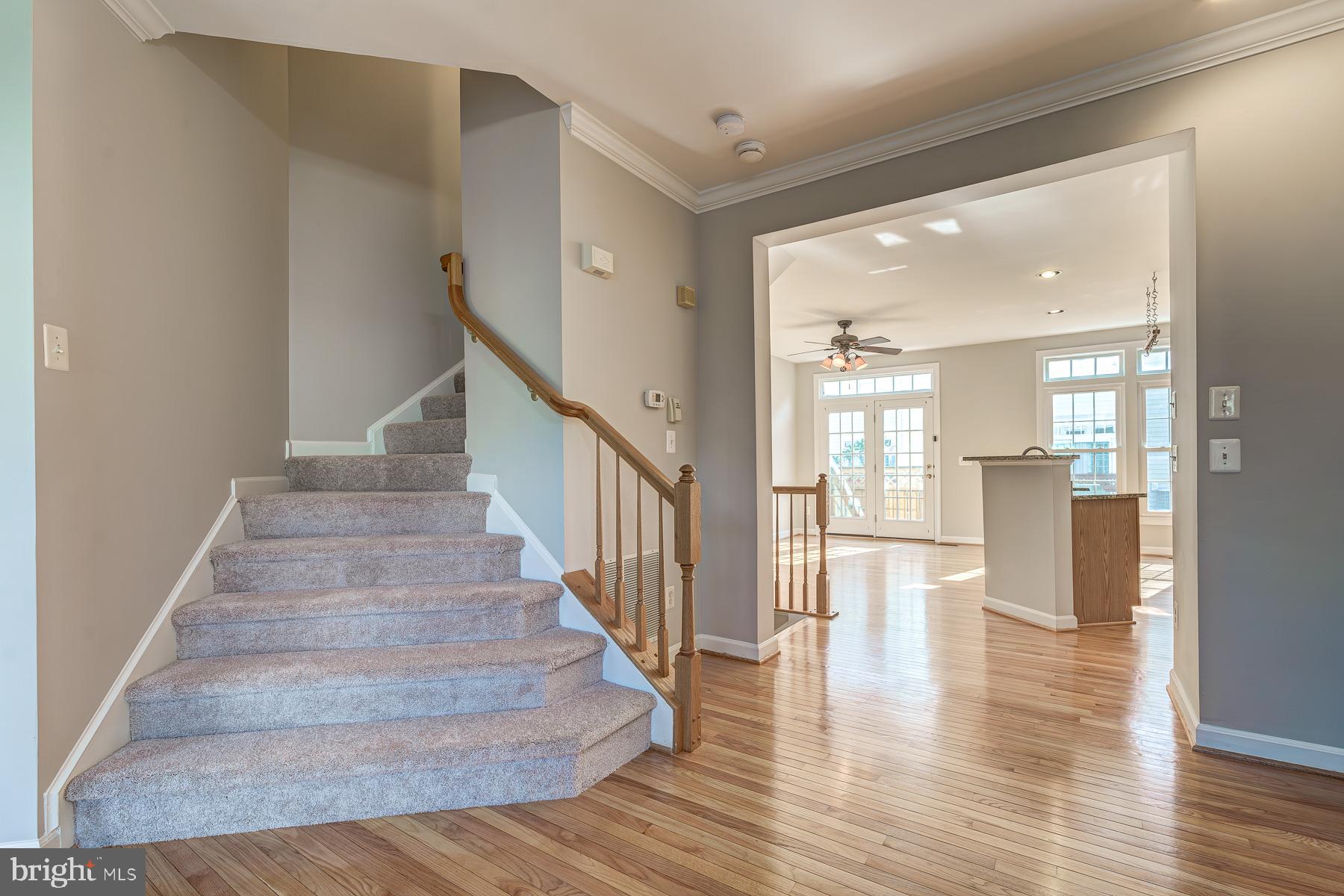 904 Harrison Cir