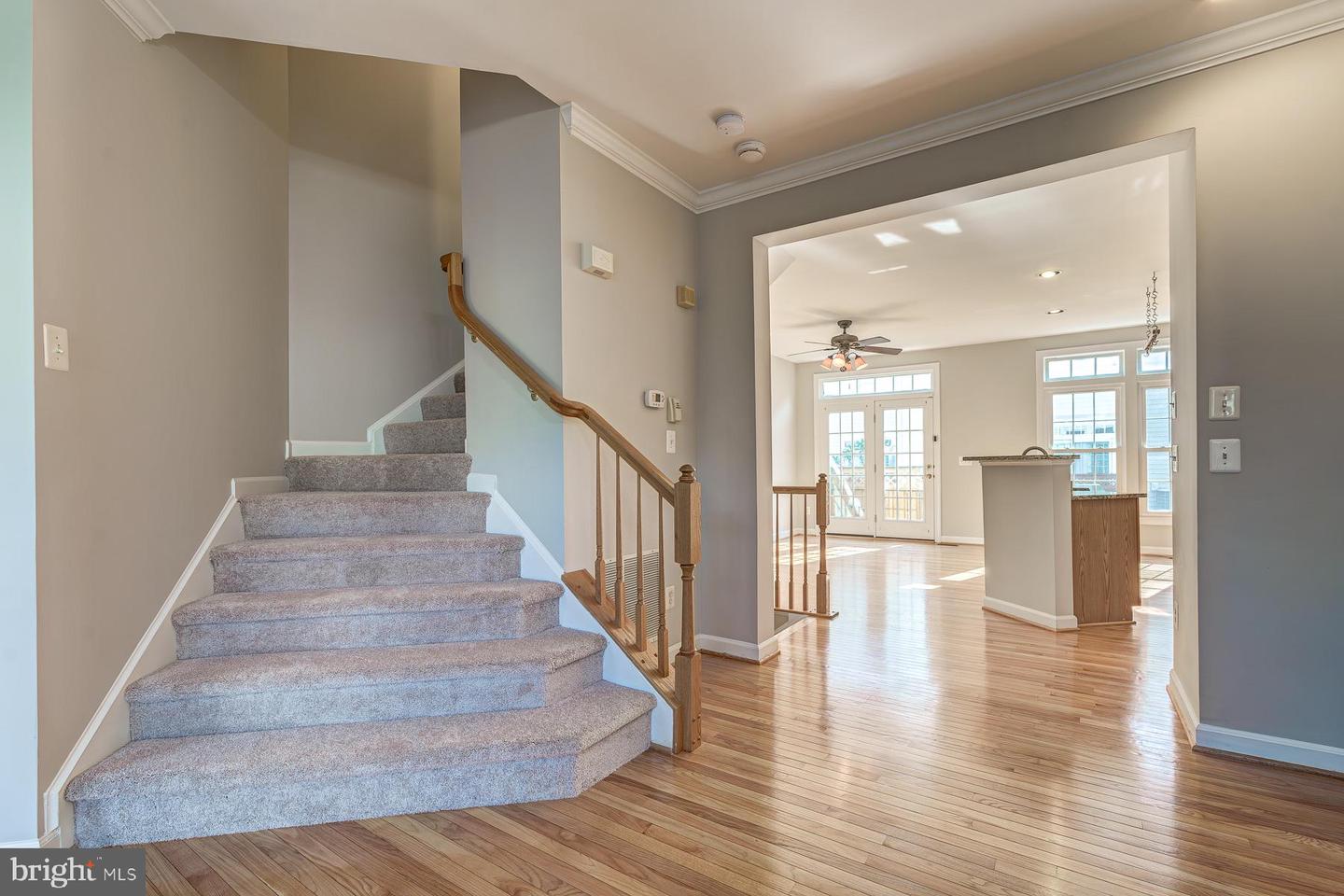 904 Harrison Cir