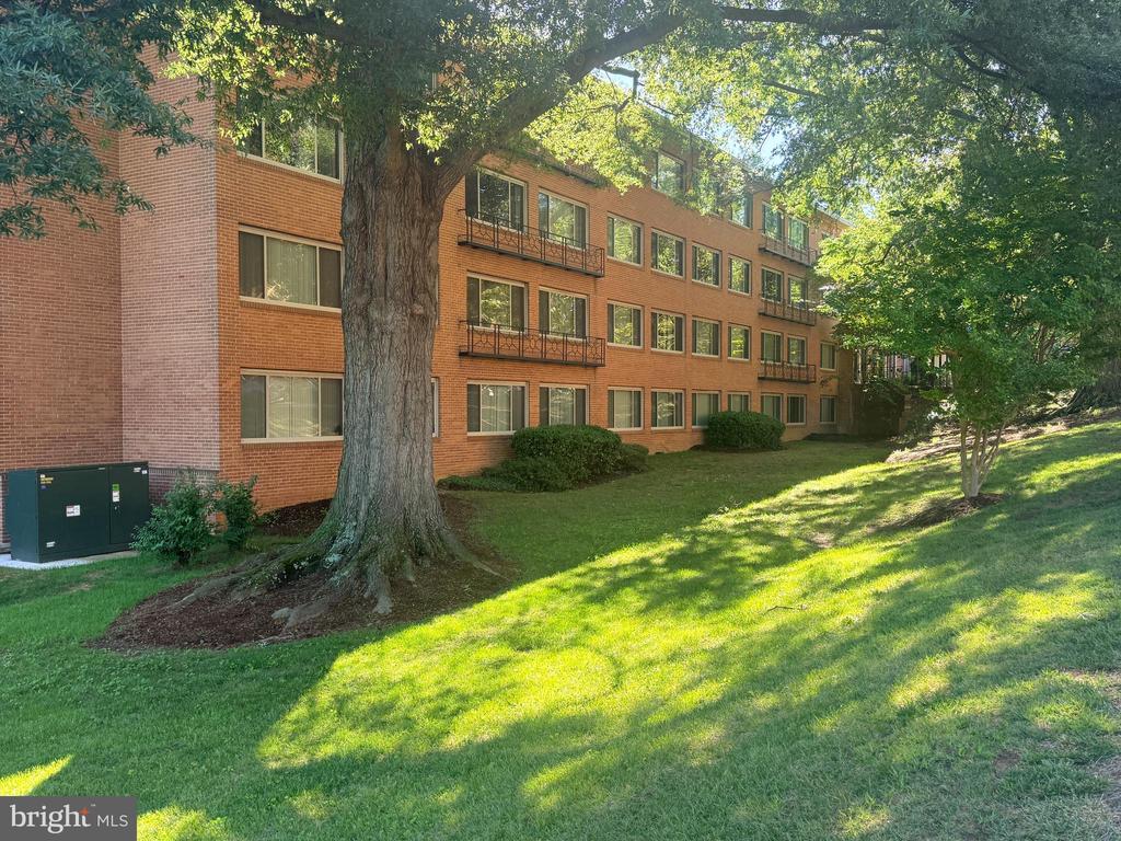 10570 MAIN STREET 302