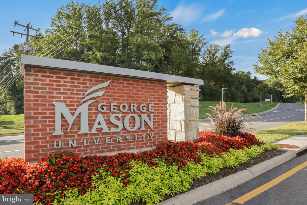 10570 MAIN STREET 302