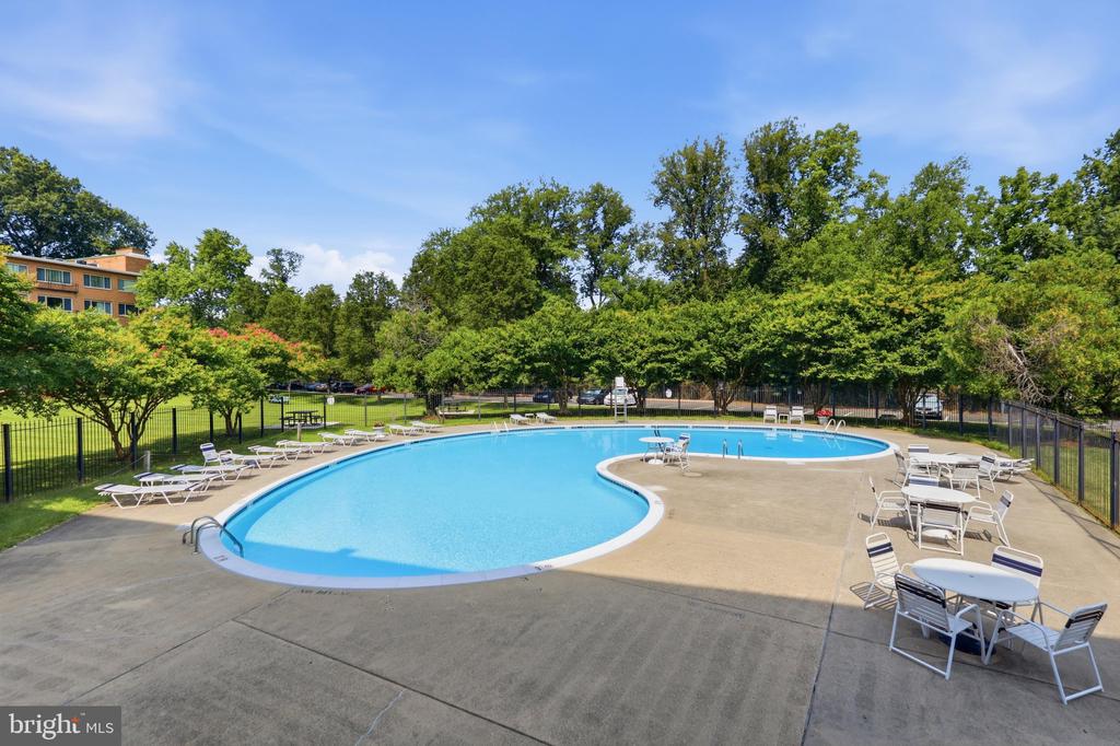 10570 MAIN STREET 302