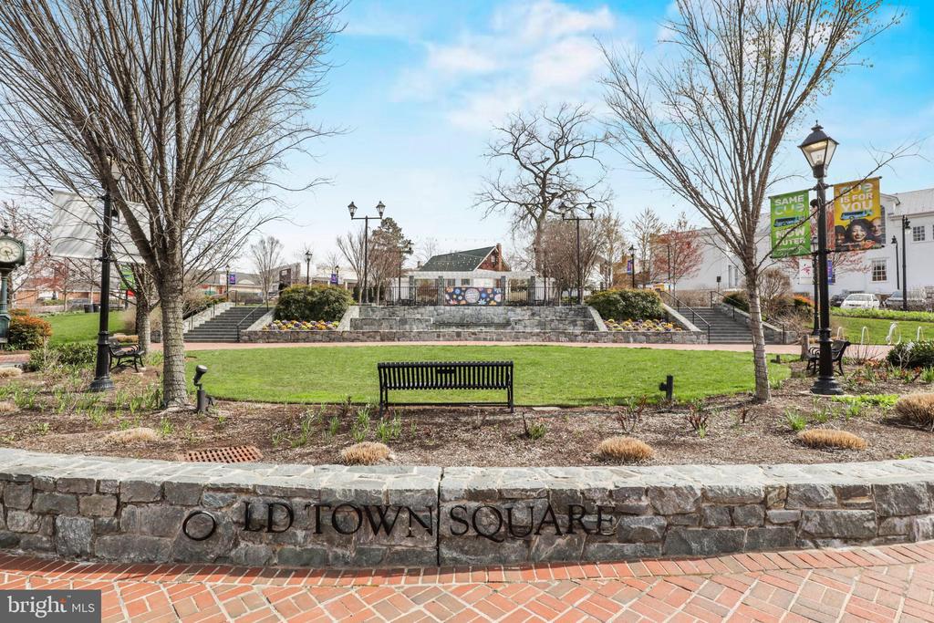 10570 MAIN STREET 302