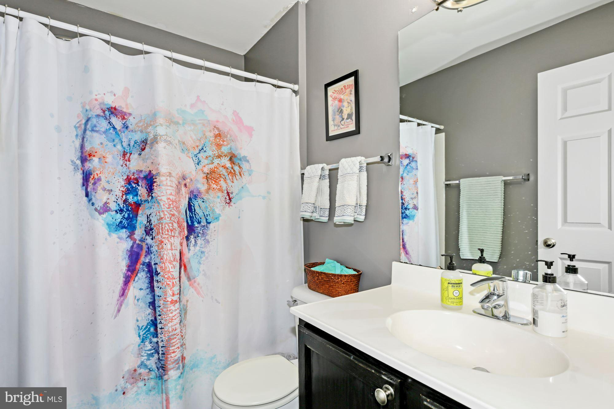 6350 ANDREW MATTHEW TER