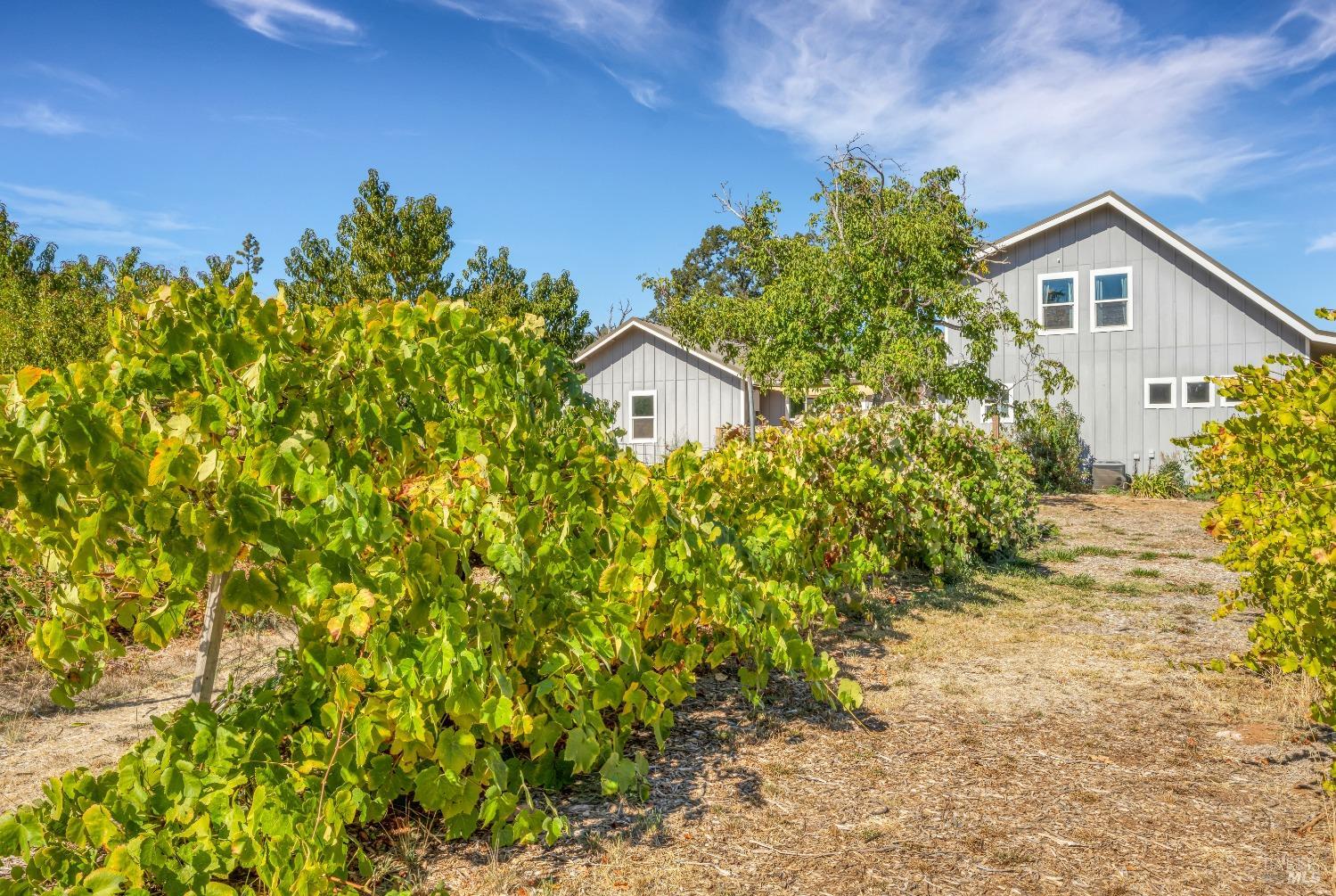 16566 Butts Canyon Road