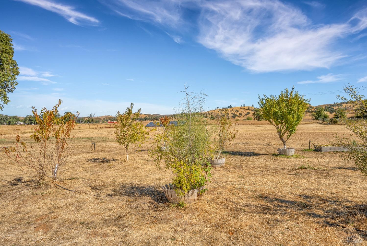 16566 Butts Canyon Road