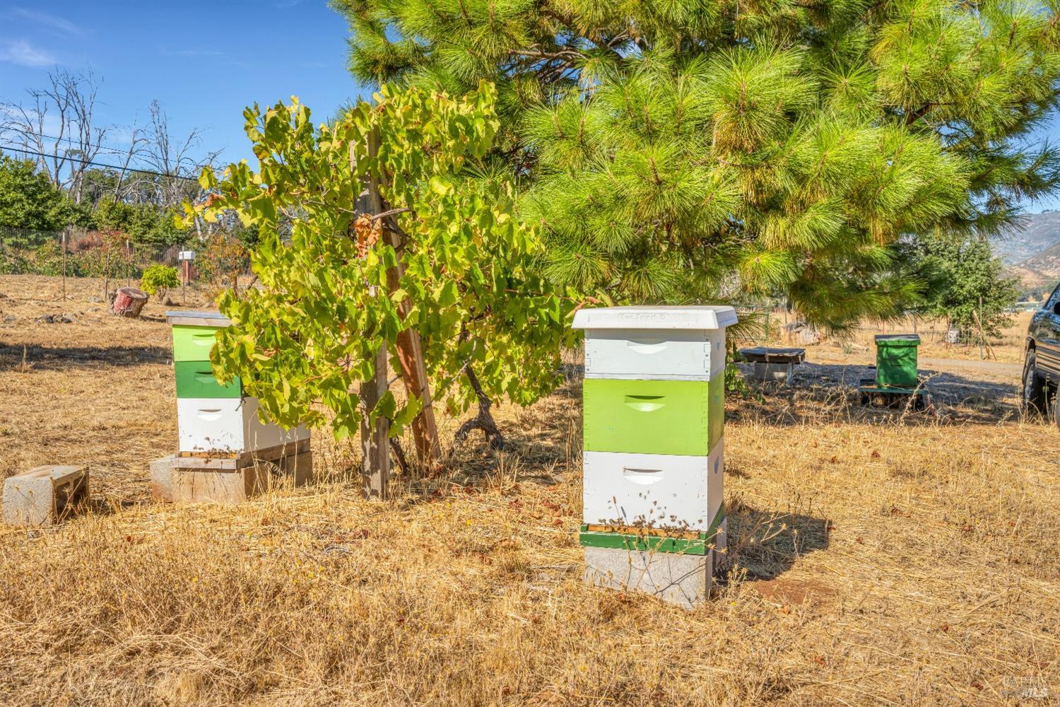 16566 Butts Canyon Road