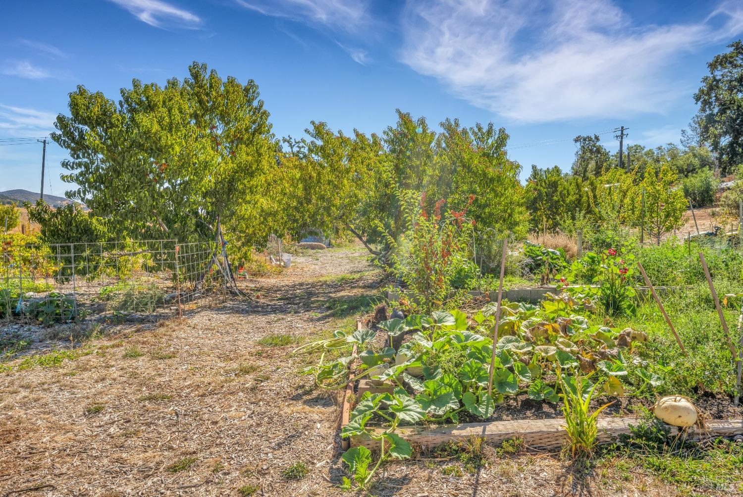 16566 Butts Canyon Road