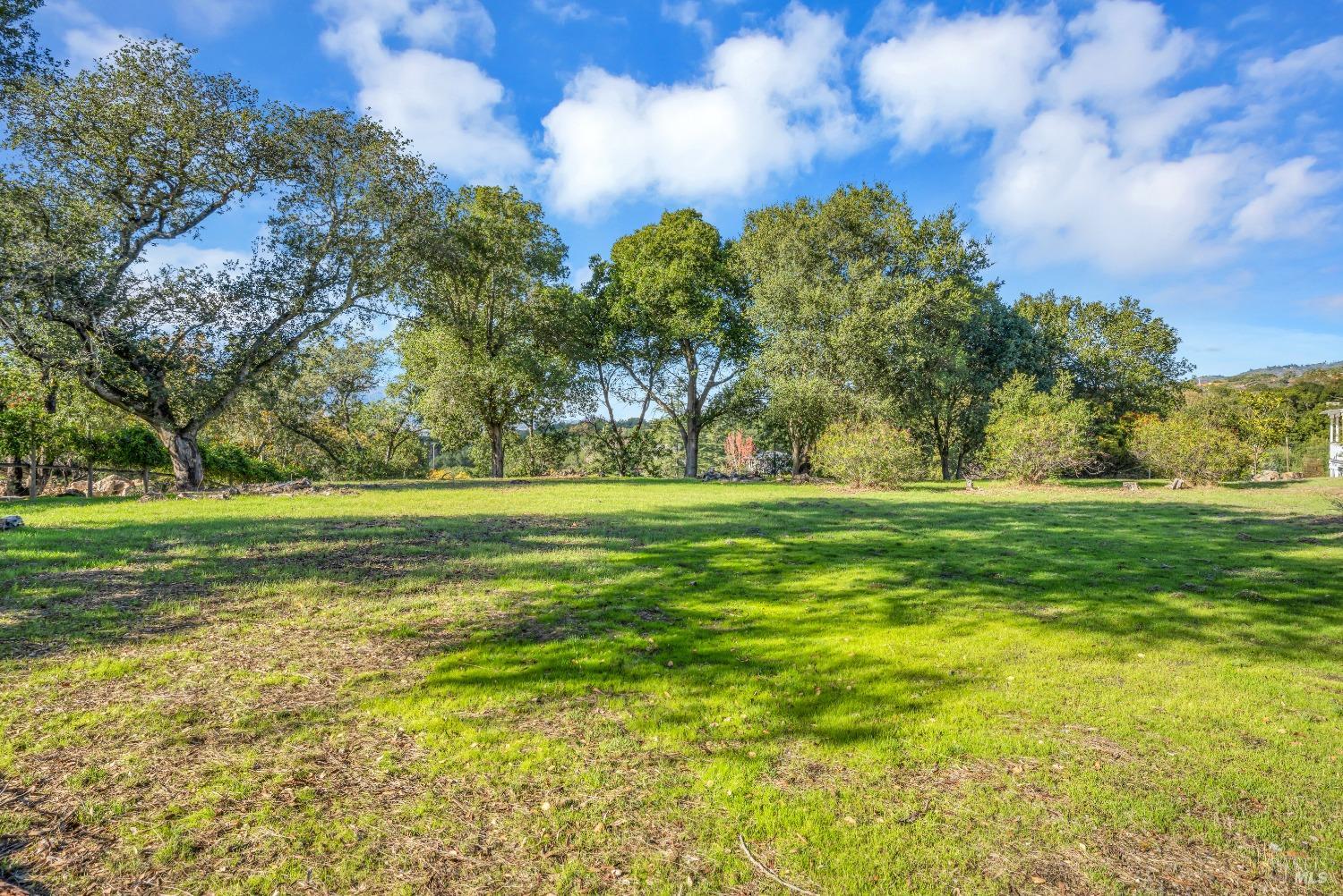 1195-1197 Alberca Rd