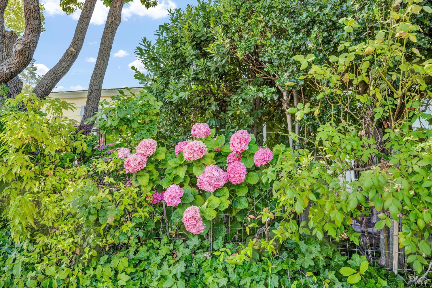 39 Laguna Seca Ct