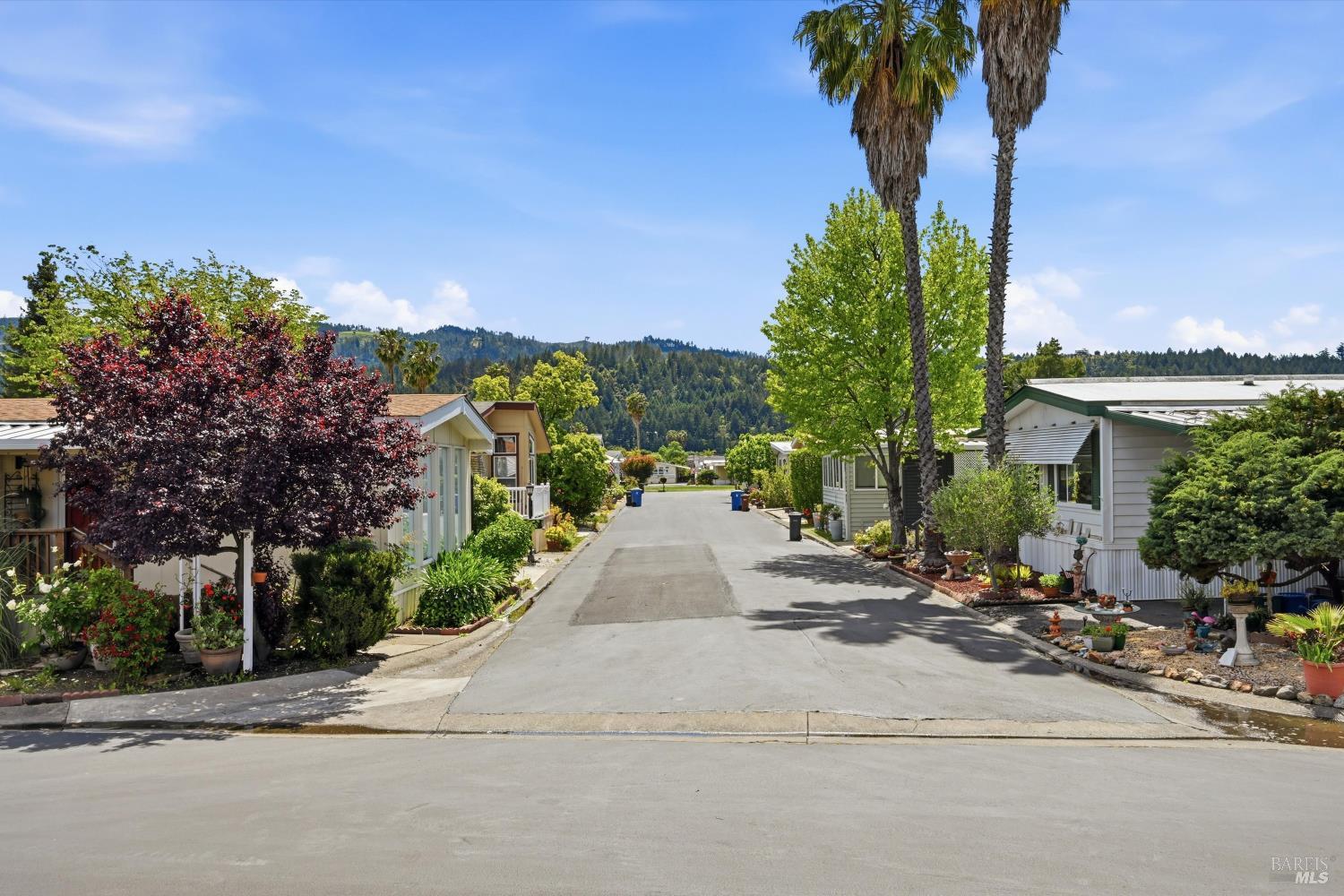 79 Iris Drive