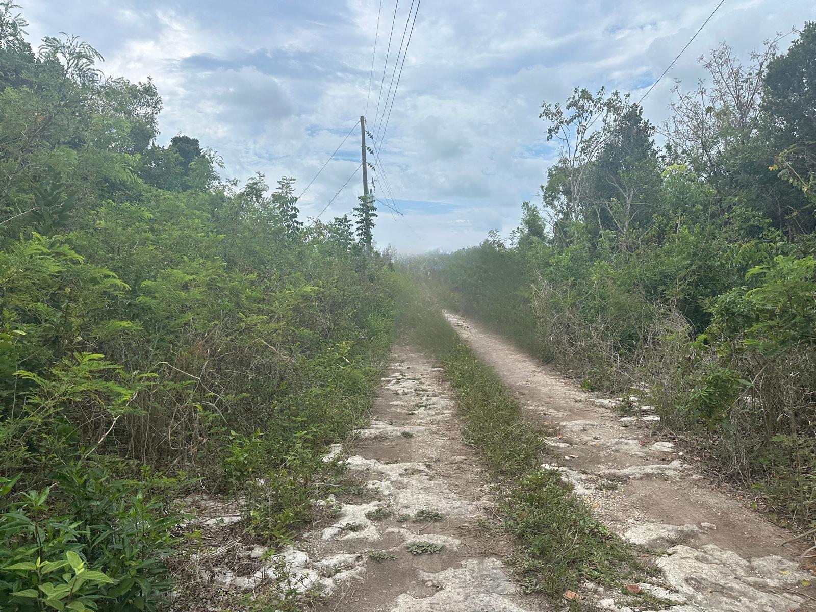 1 BULLARD'S TARPUM BAY