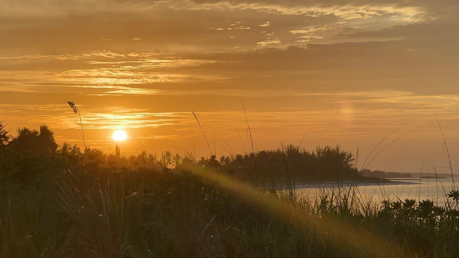 4 BULLARD'S TARPUM BAY