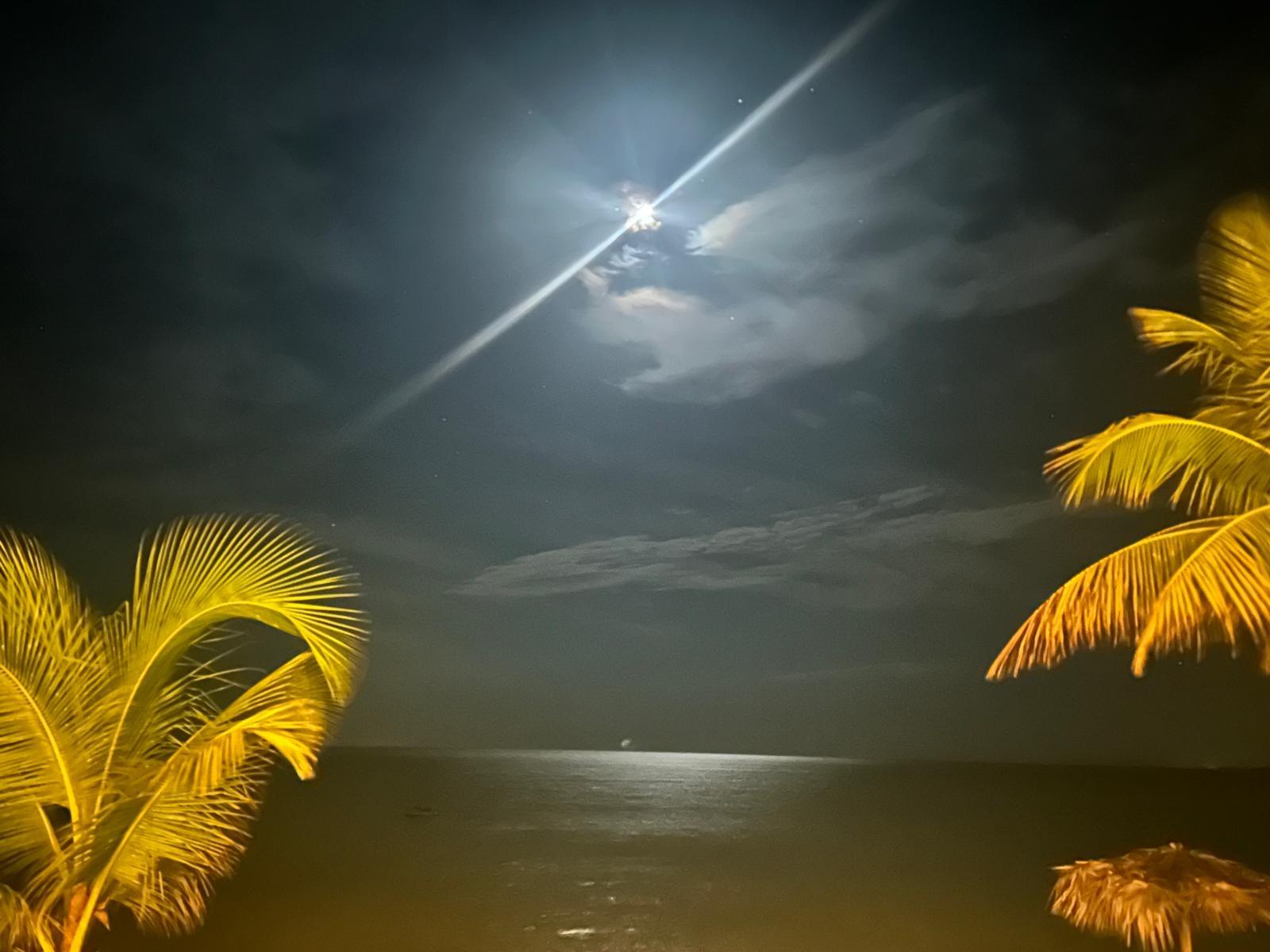 1 LIL BLUFF SAVANNAH SOUN