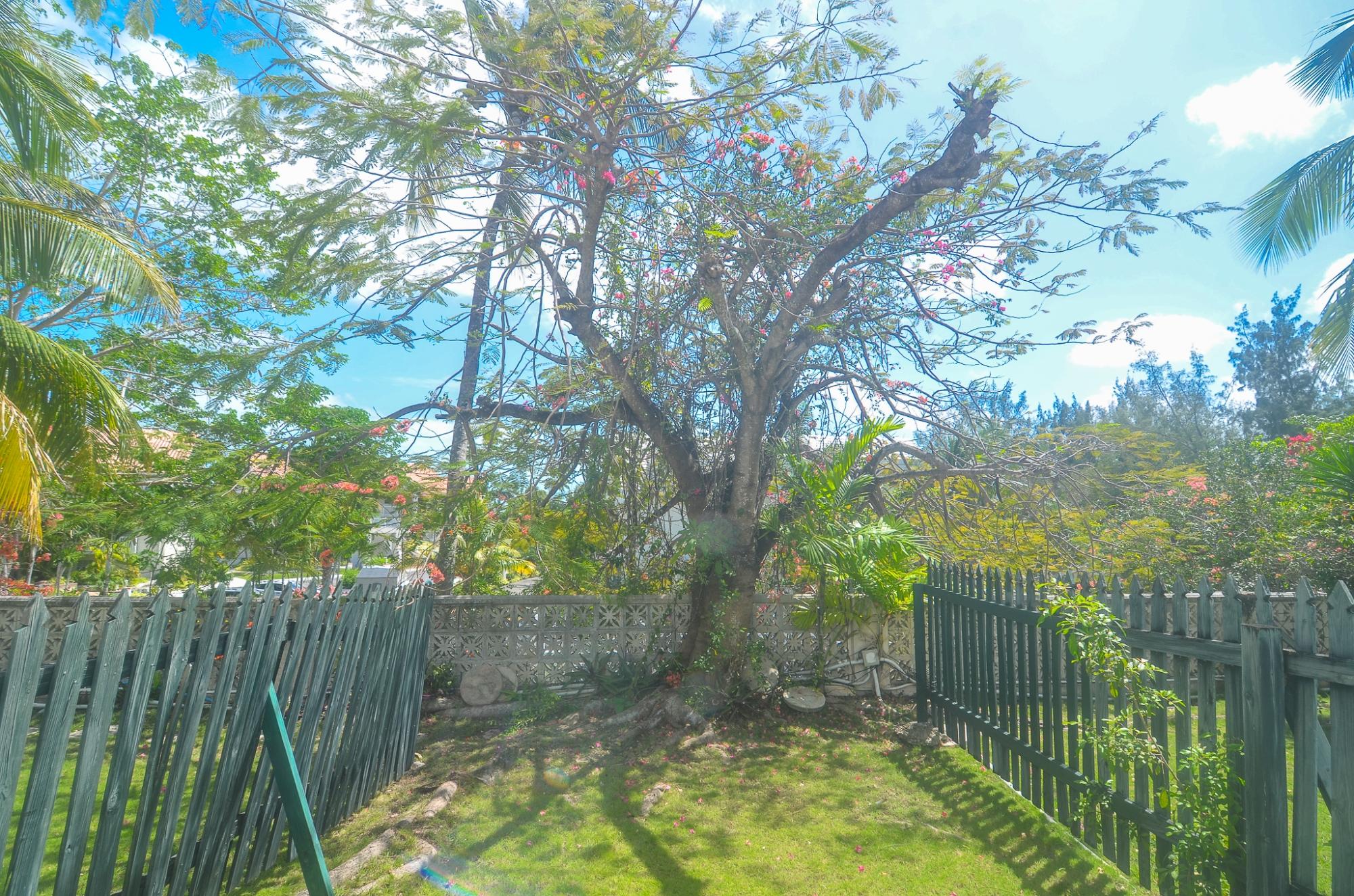 BAYVIEW VILLAGE Unit: 49B