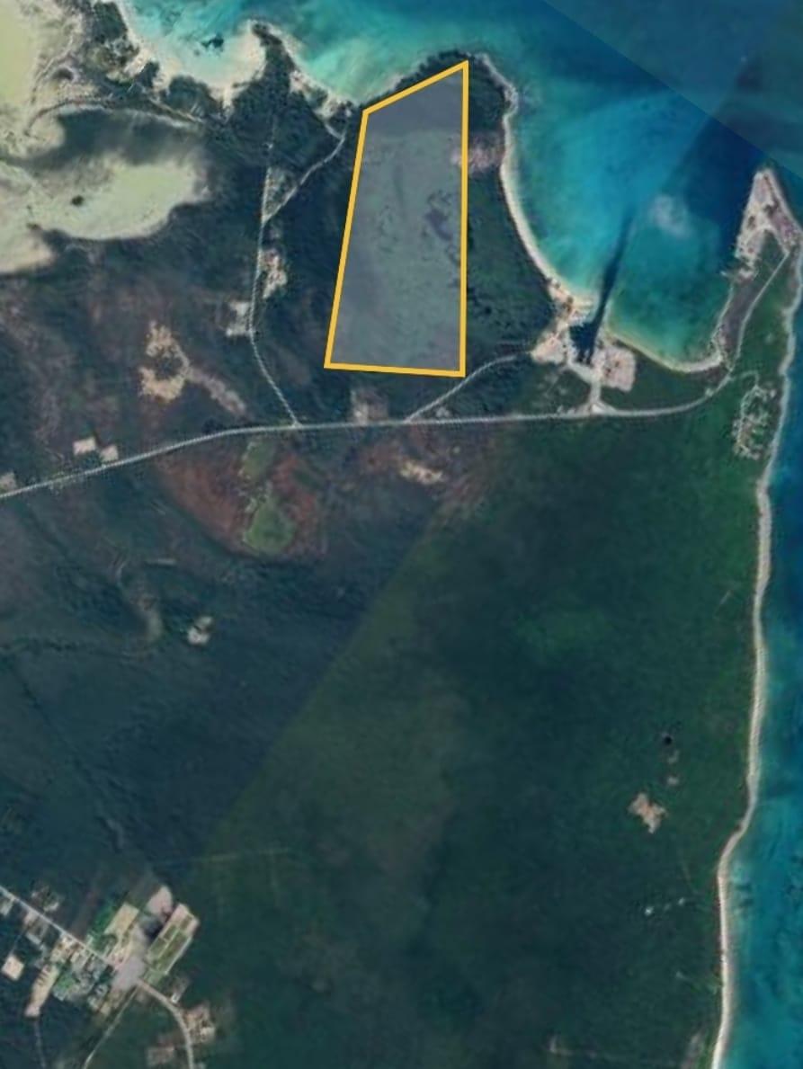 JOANNE POINT
