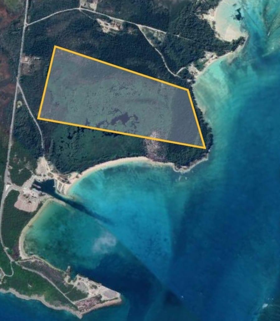 JOANNE POINT