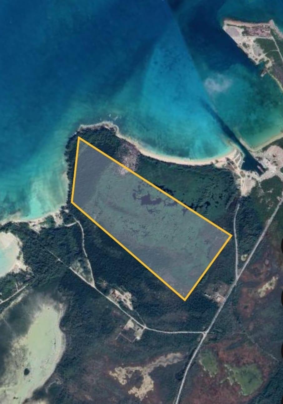 JOANNE POINT