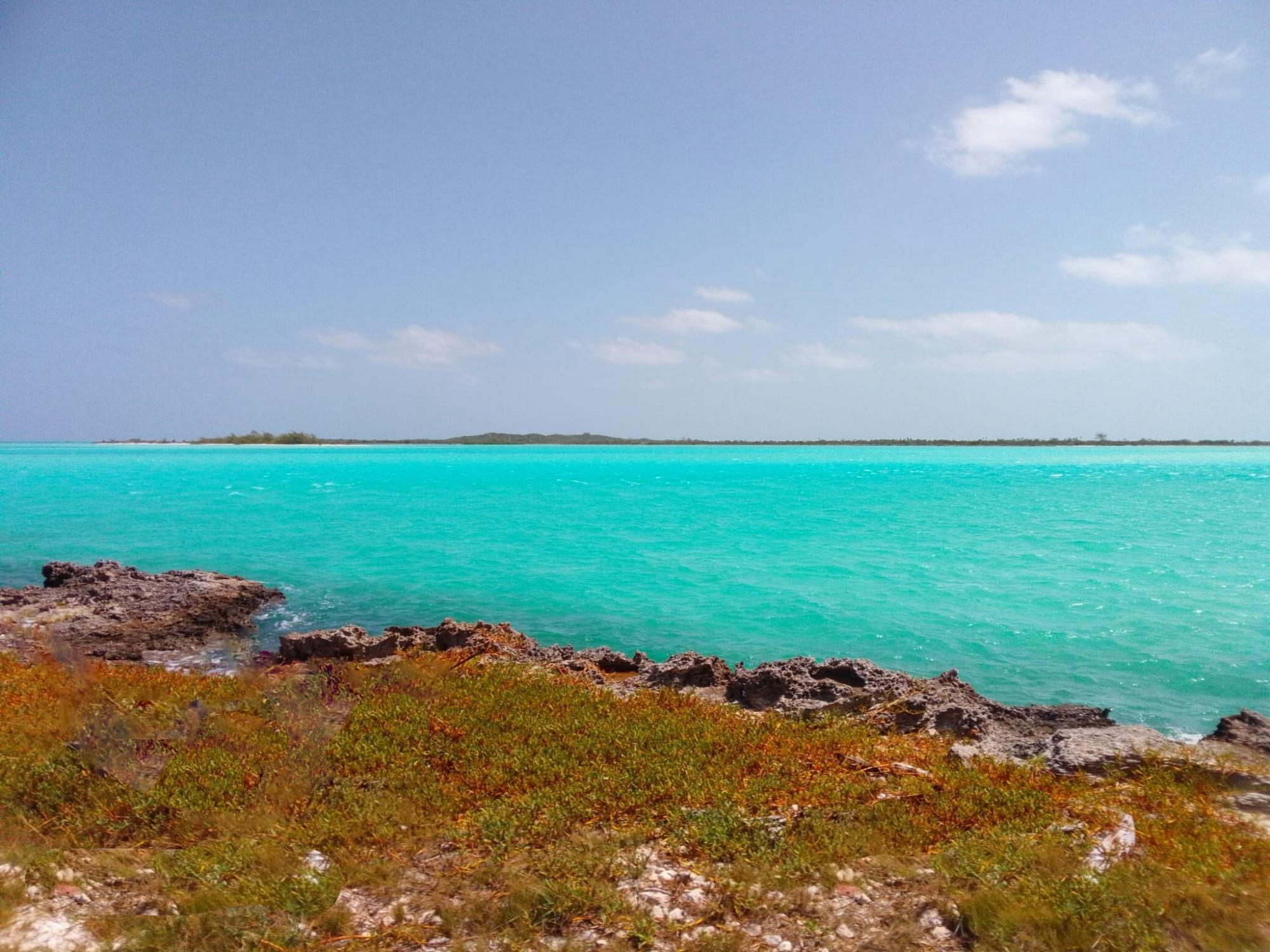 Turquoise water along a rocky, scrub-covered shoreline, with a low island on the horizon.