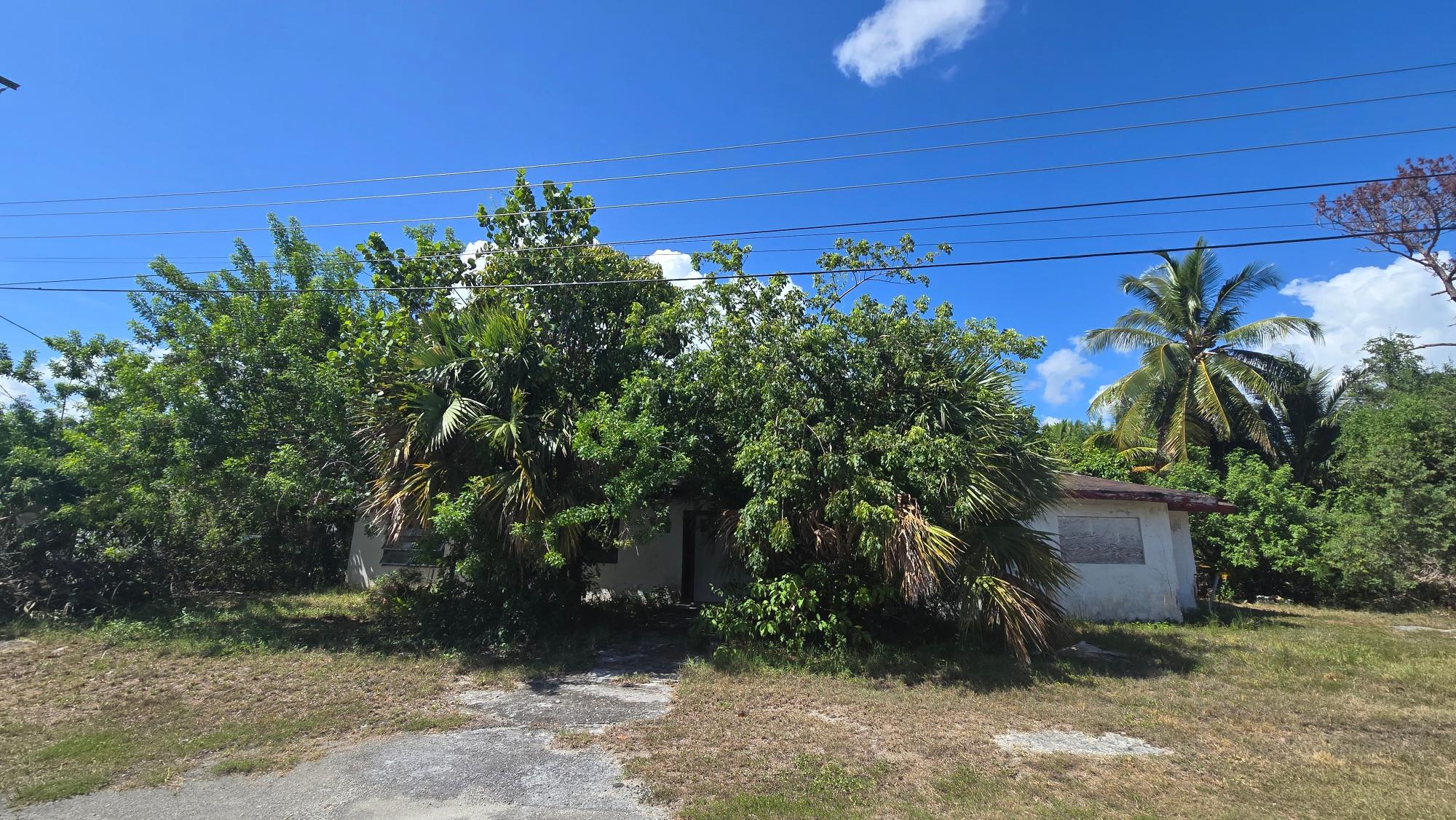 Weathered single-story building partly hidden by tropical vegetation, with palms and a paved driveway.