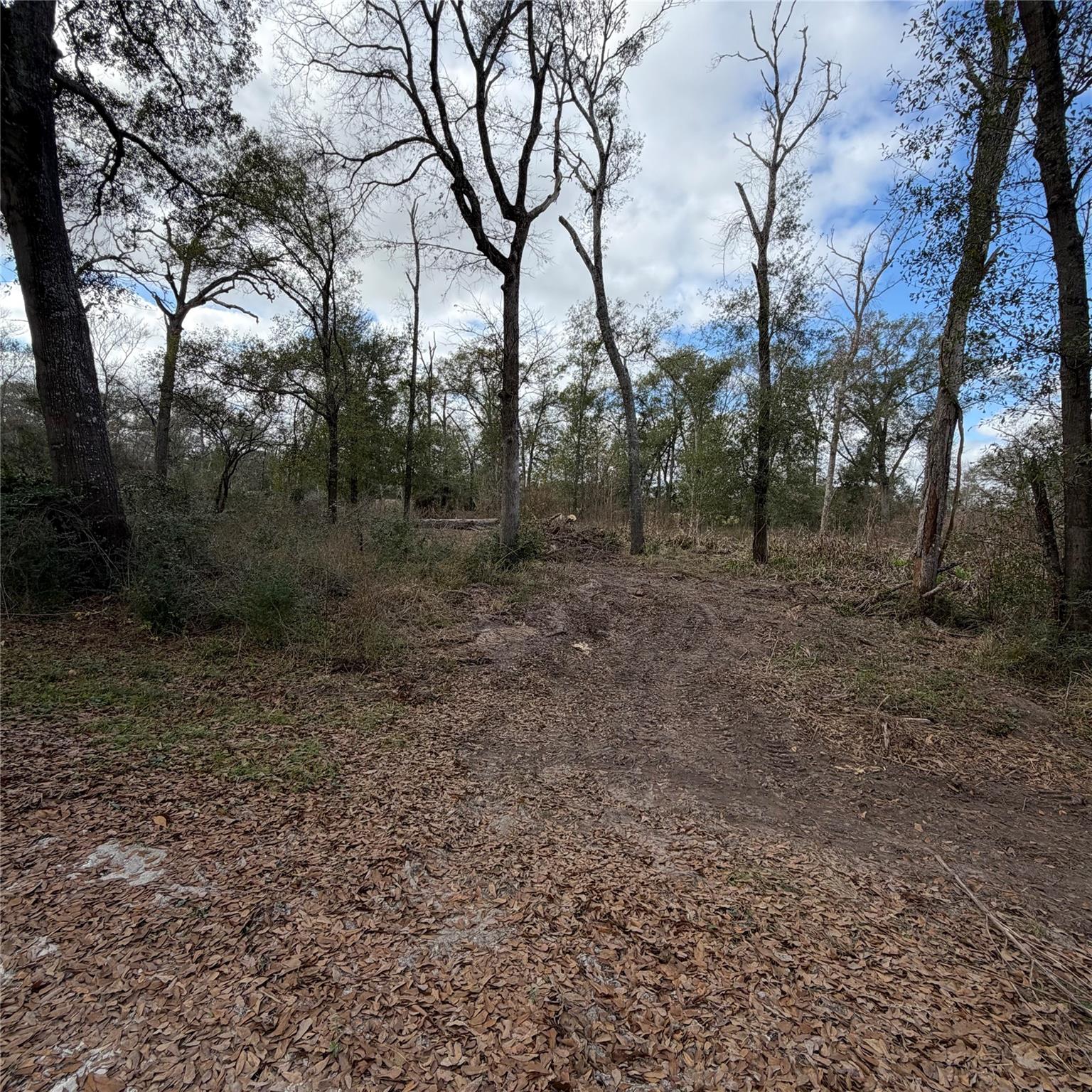 25028 Leitrim Street