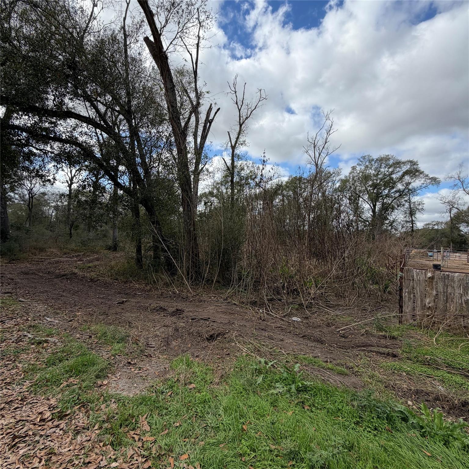 25028 Leitrim Street