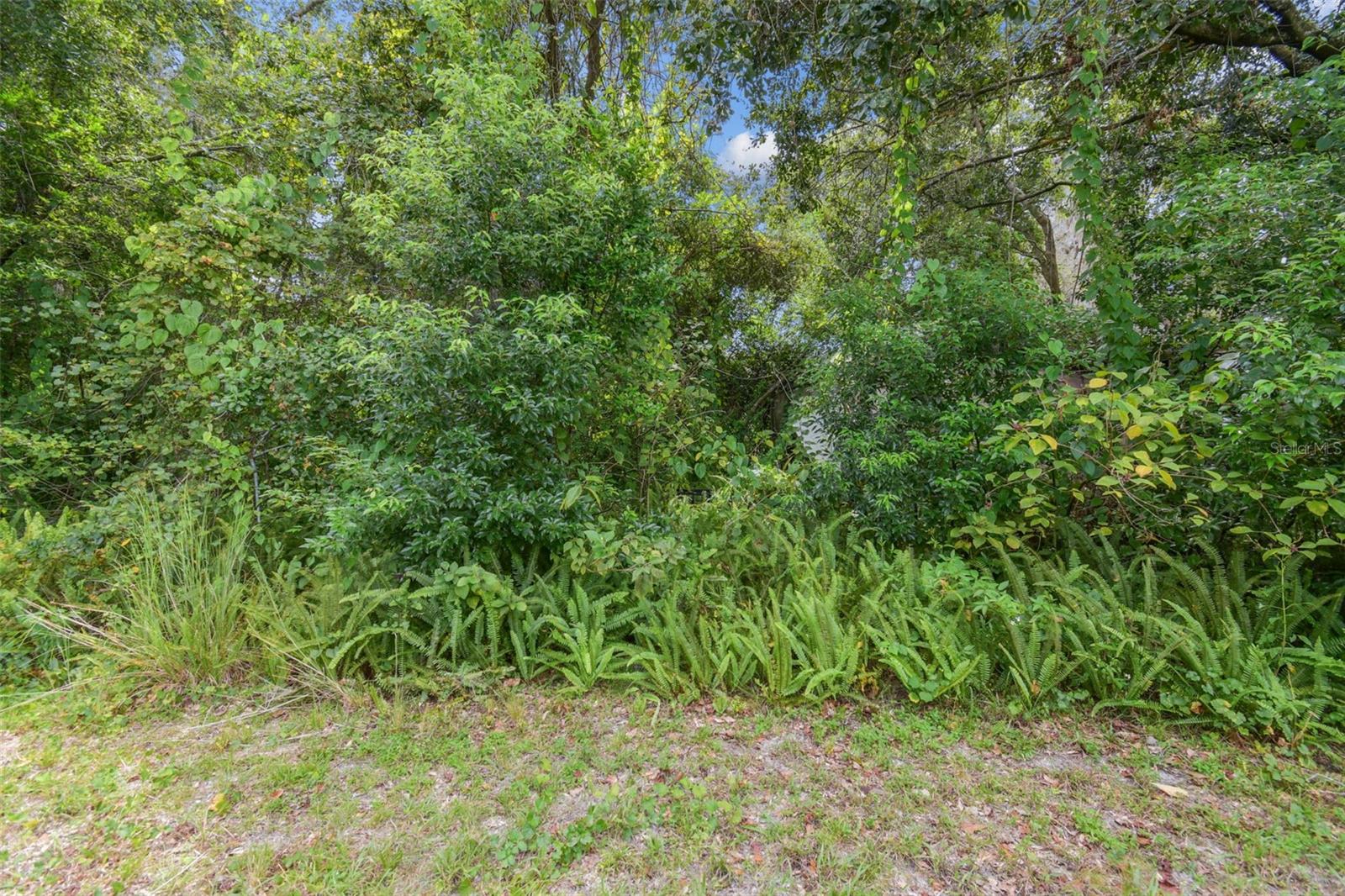 918 CRENSHAW LAKE RD