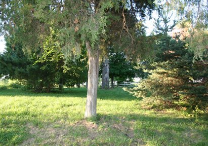 13321 Princeville Jubilee Road