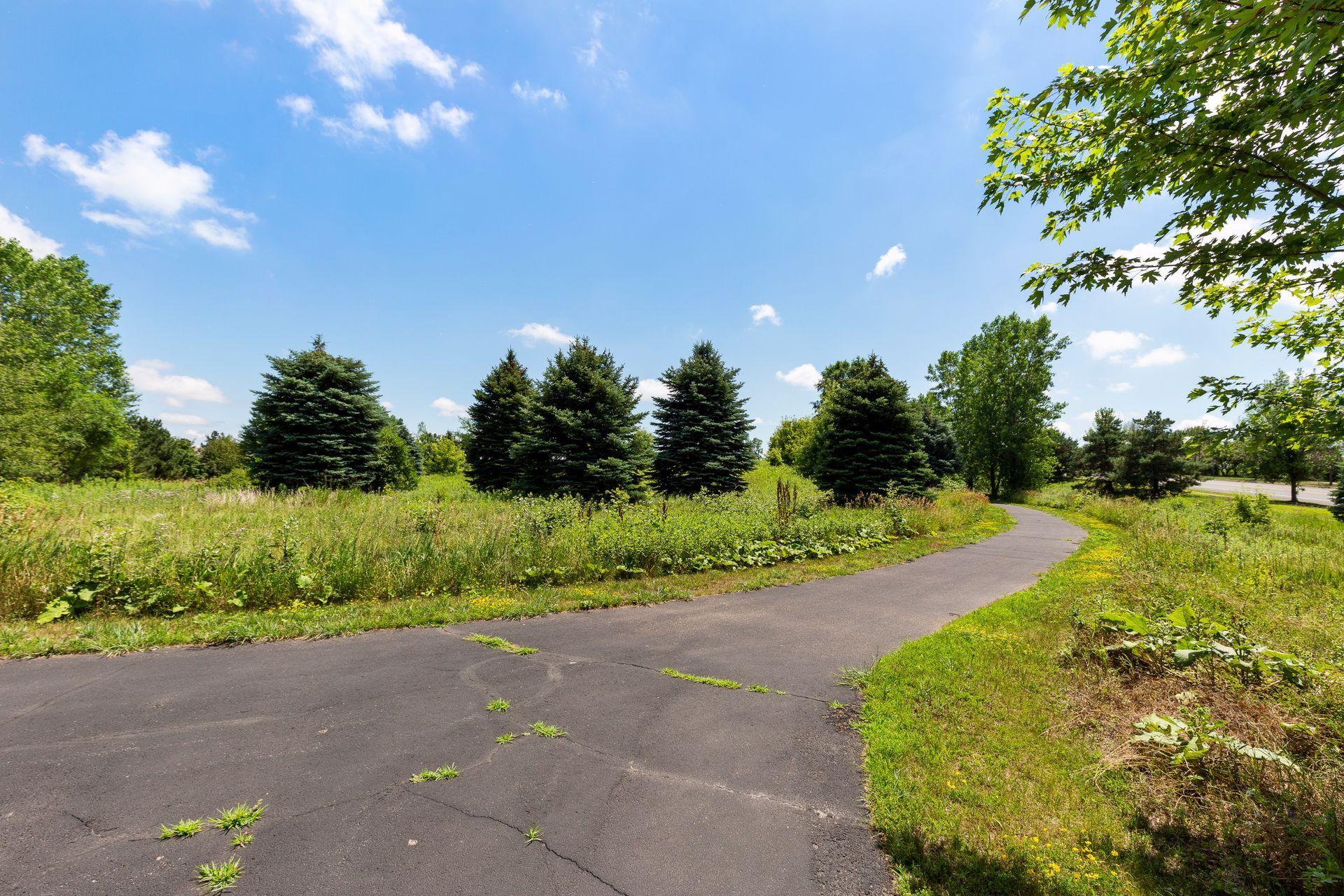 Curving paved path through a green landscape lined with evergreen trees and wild grasses.