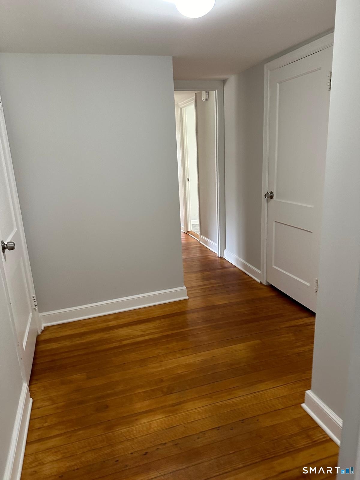 Interior hallway with warm hardwood floors and white paneled doors.