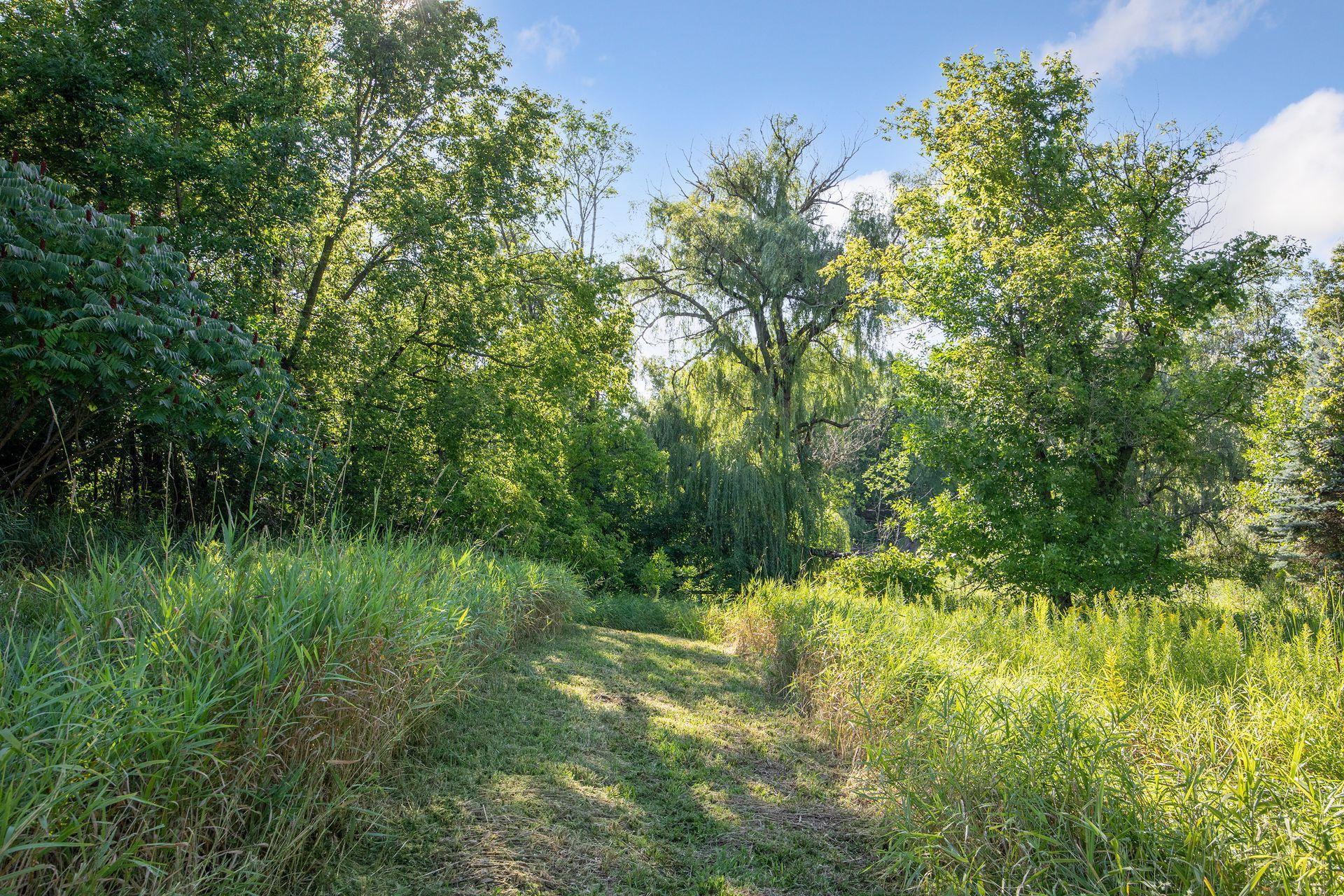 1065 Tamarack Drive