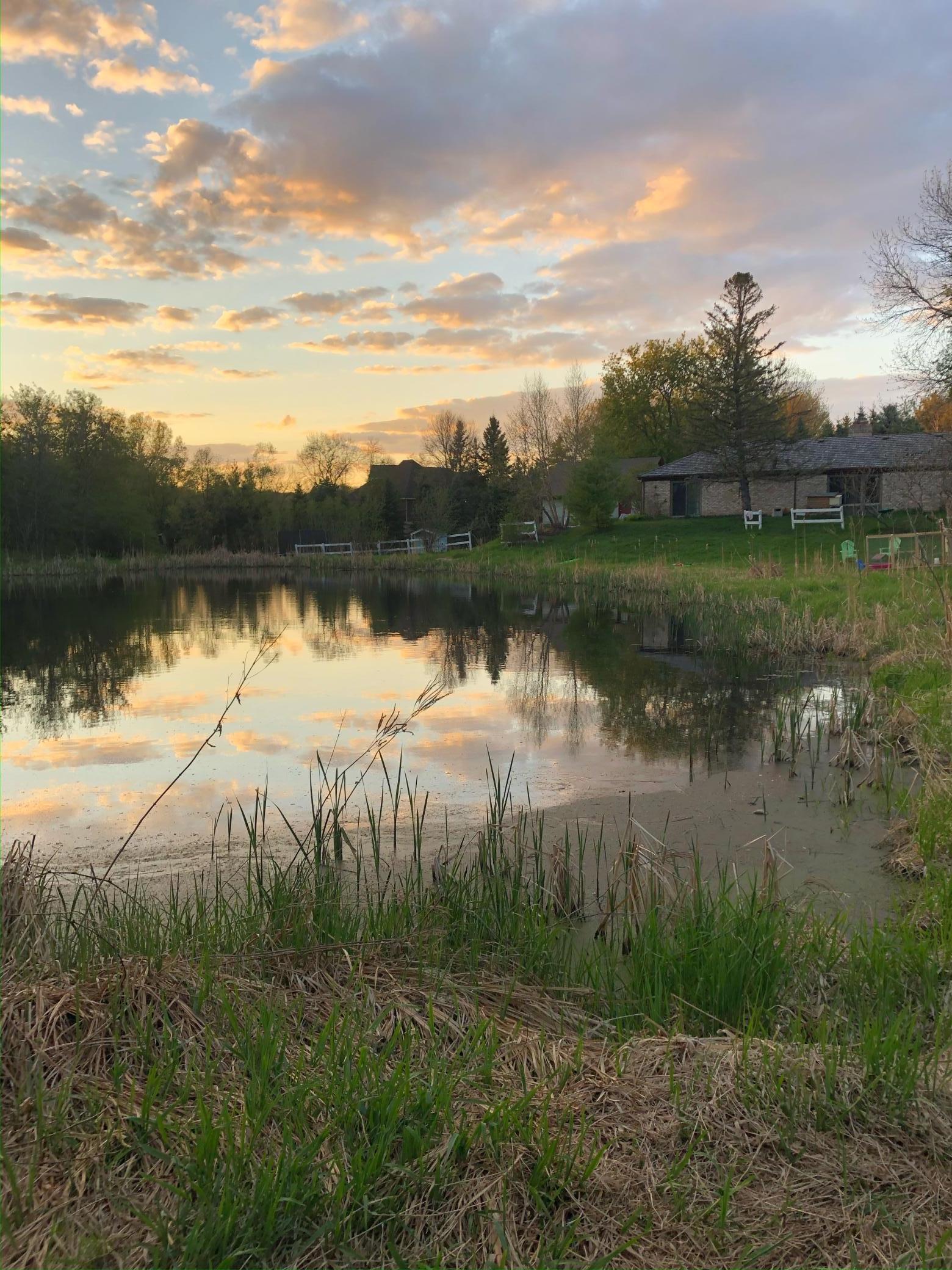 1065 Tamarack Drive