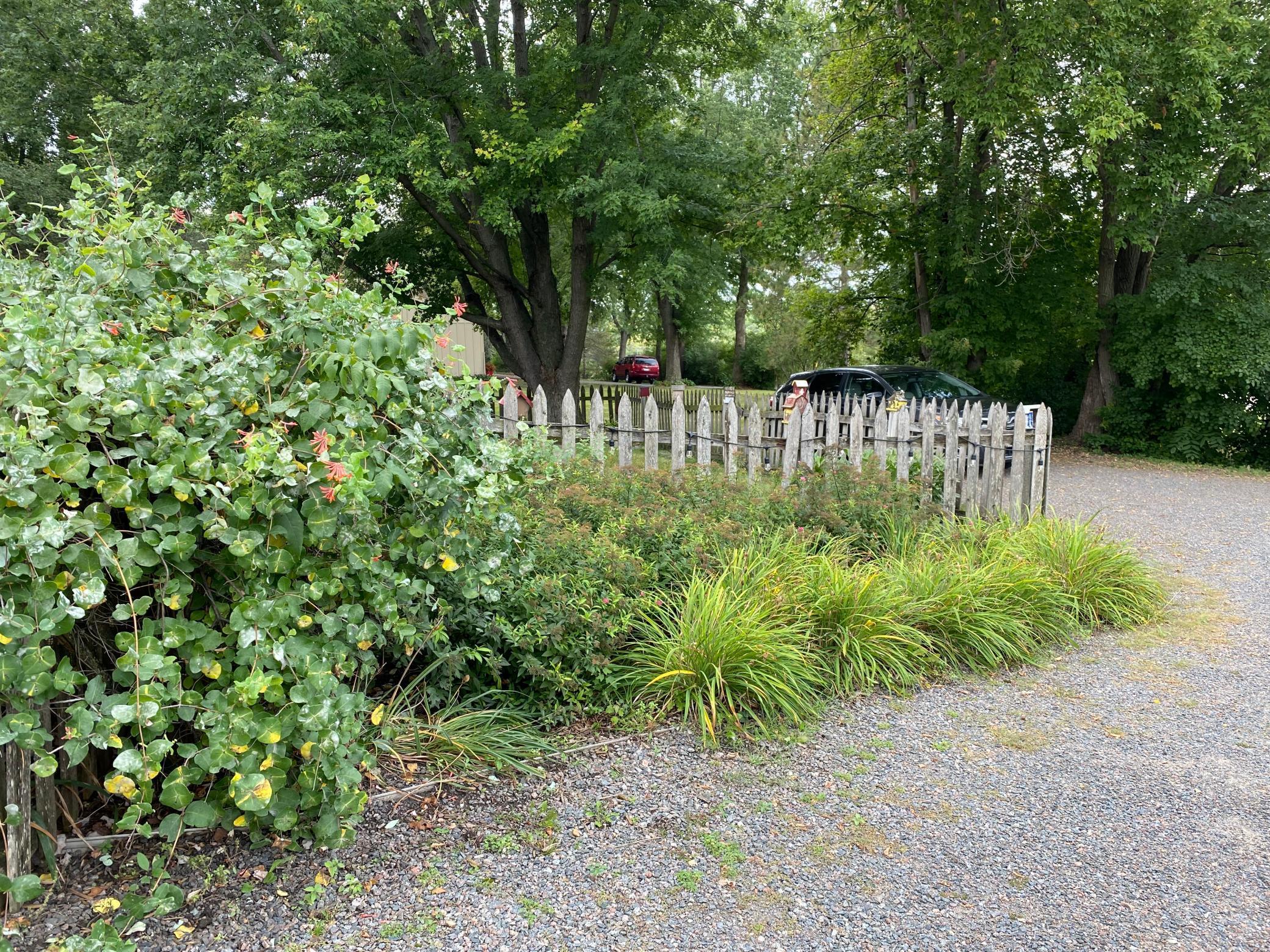 110 County Road 110 N