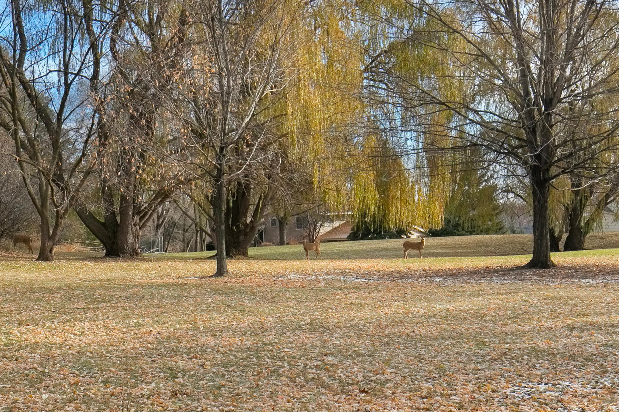 5558 Morningview Terrace