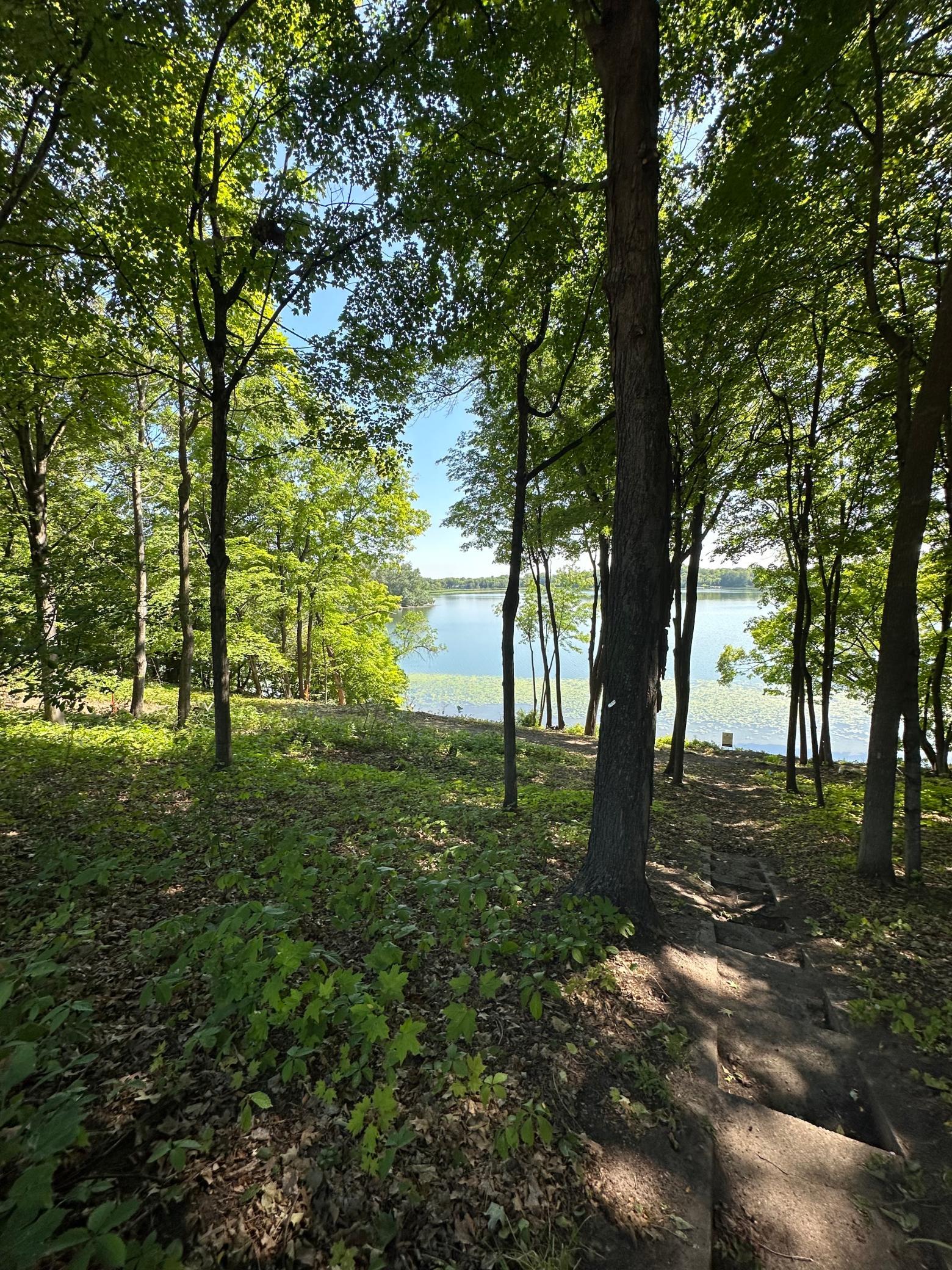 581 Fox Hill Drive