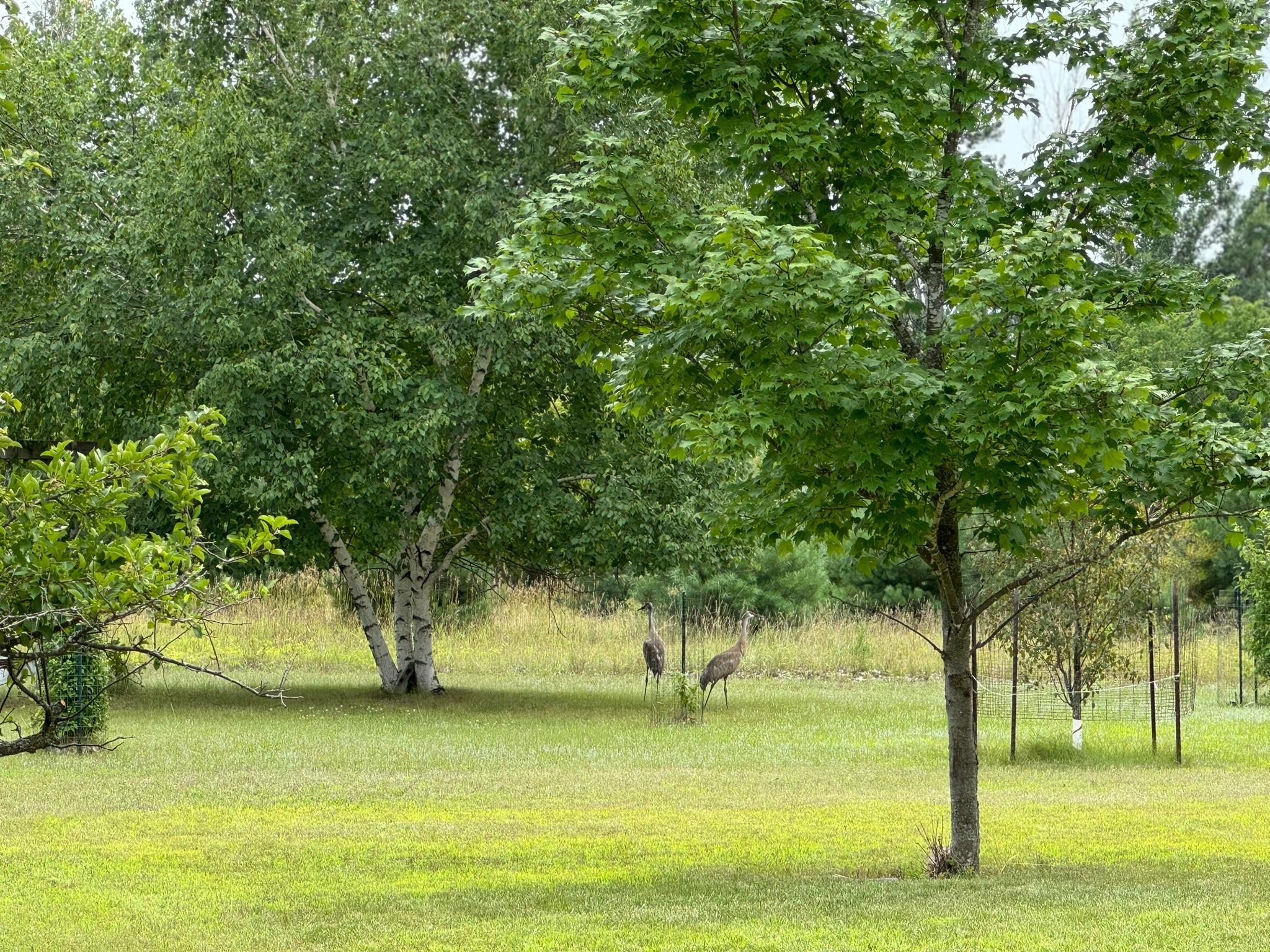 17449 County Road 43 NW