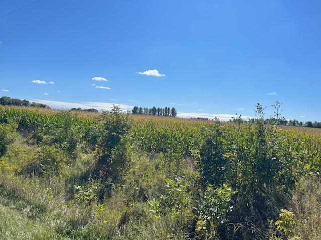 XXXX County Road 117