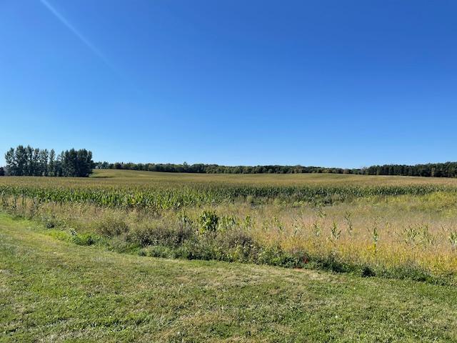 XXXX County Road 117