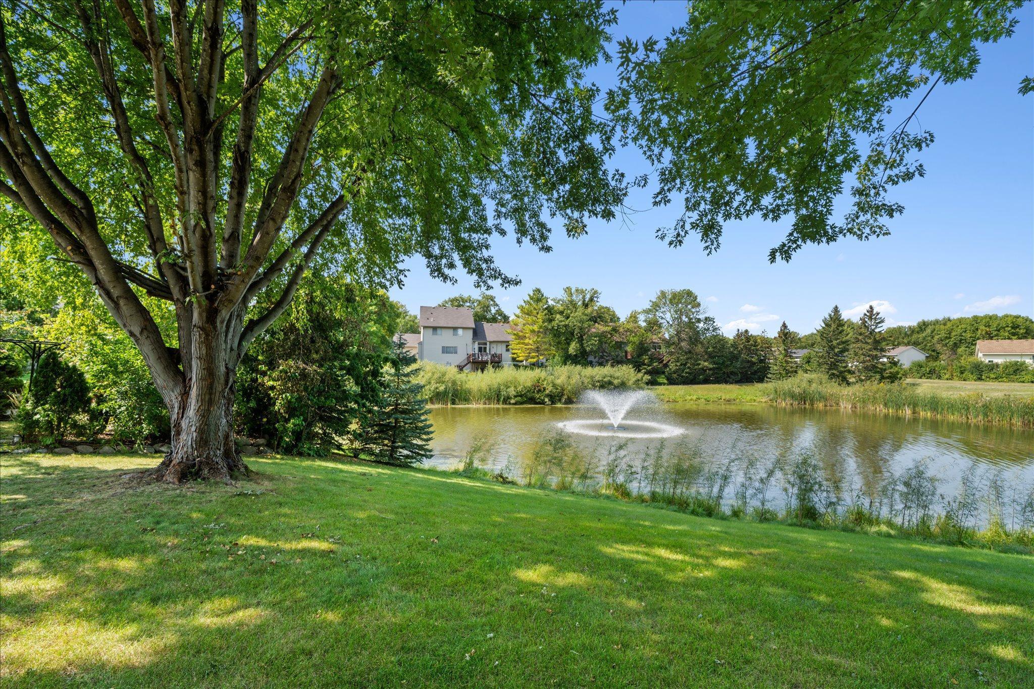 1340 Narcissus Curve