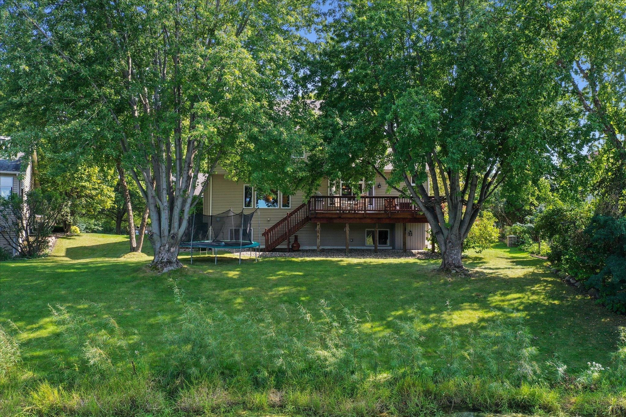 1340 Narcissus Curve