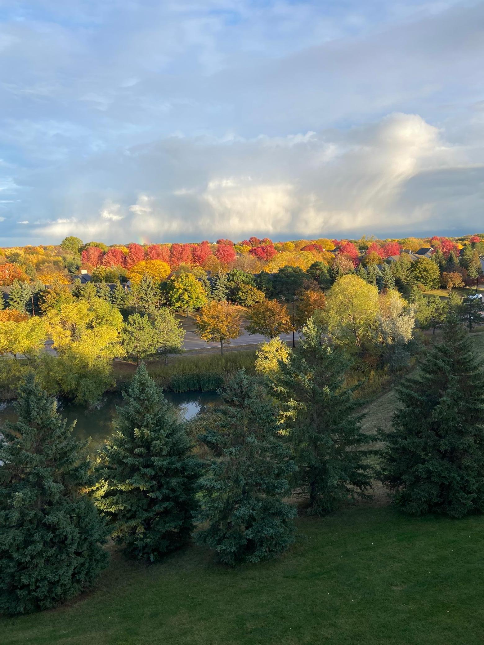 1331 Lake Drive W Unit: A311