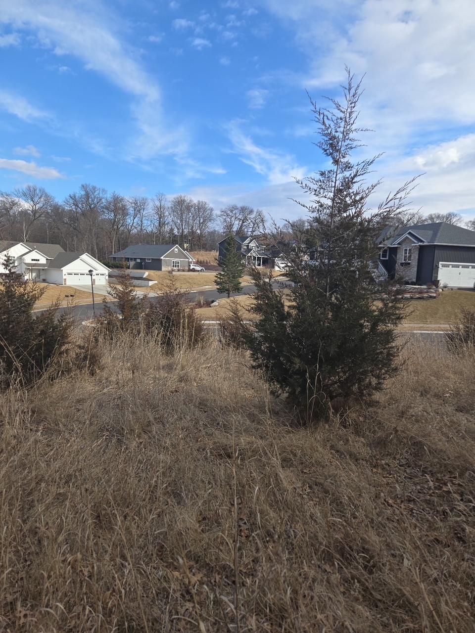 13502 Johnson Street