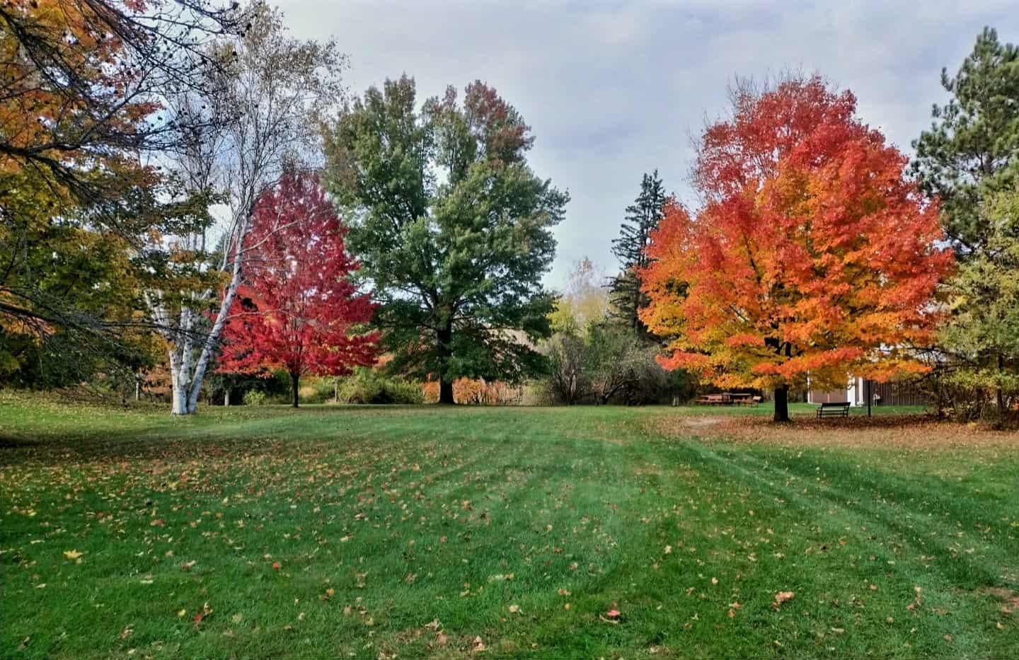 7331 175th Avenue NW