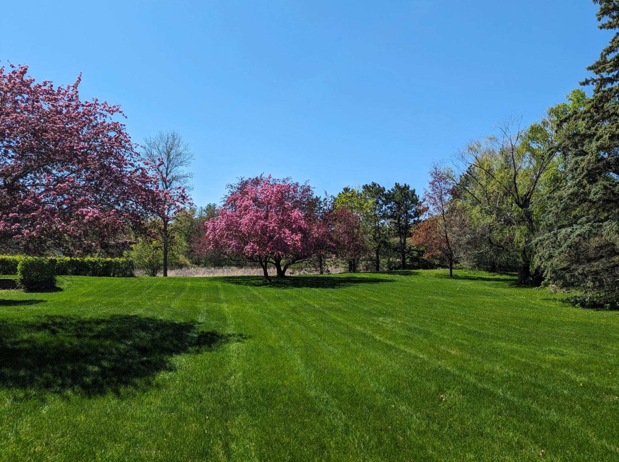 7331 175th Avenue NW